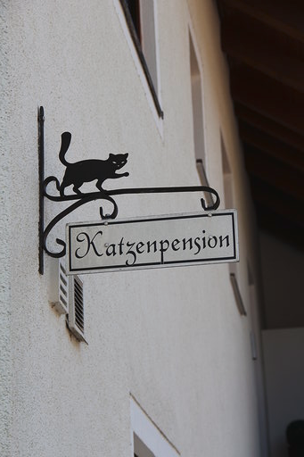 Katzenpension Lommer Preise